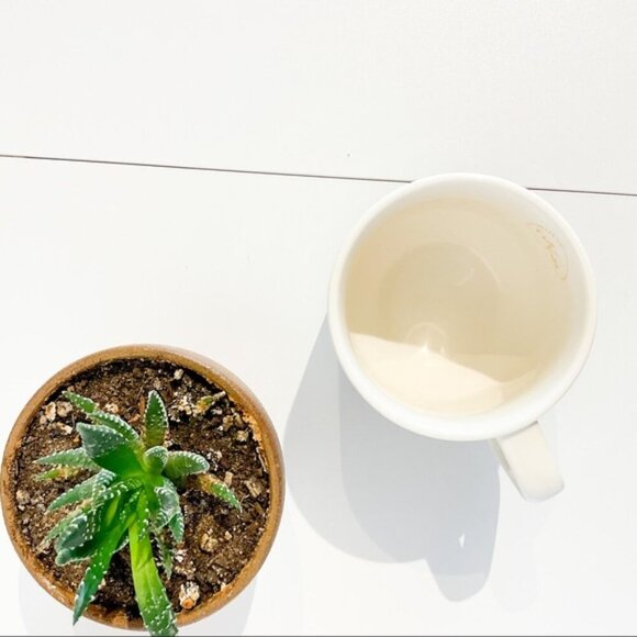 Starbucks Into The Fire 2014 Coffee Mug Boho Bohemian - Picture 6 of 10